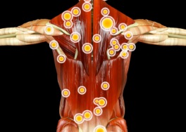 trigger point therapy idaho